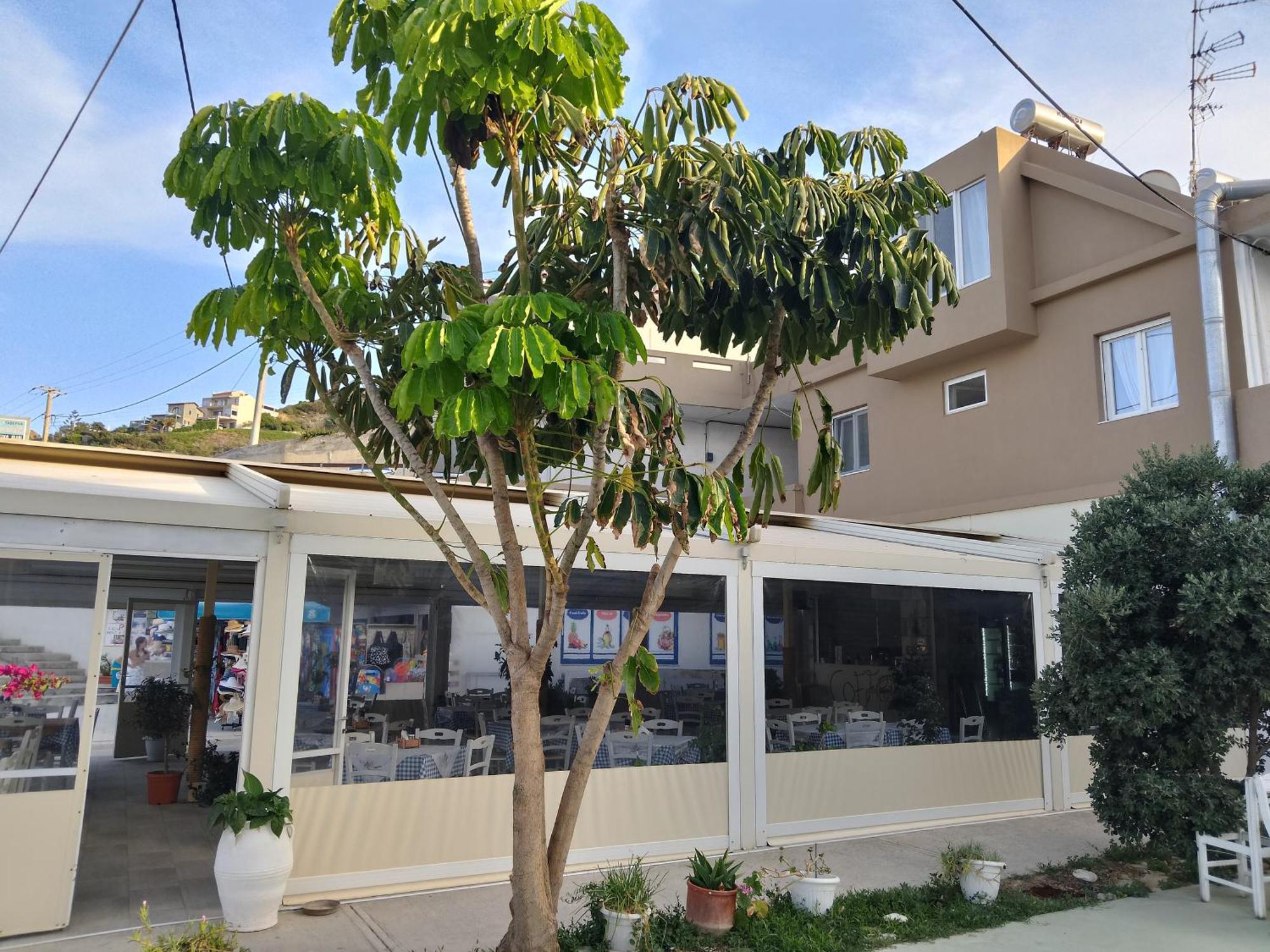 Anatoli Lygaria Apartments On The Beach Ligaria  Dış mekan fotoğraf